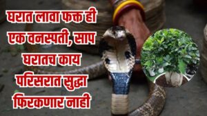 Snake Safety Tips